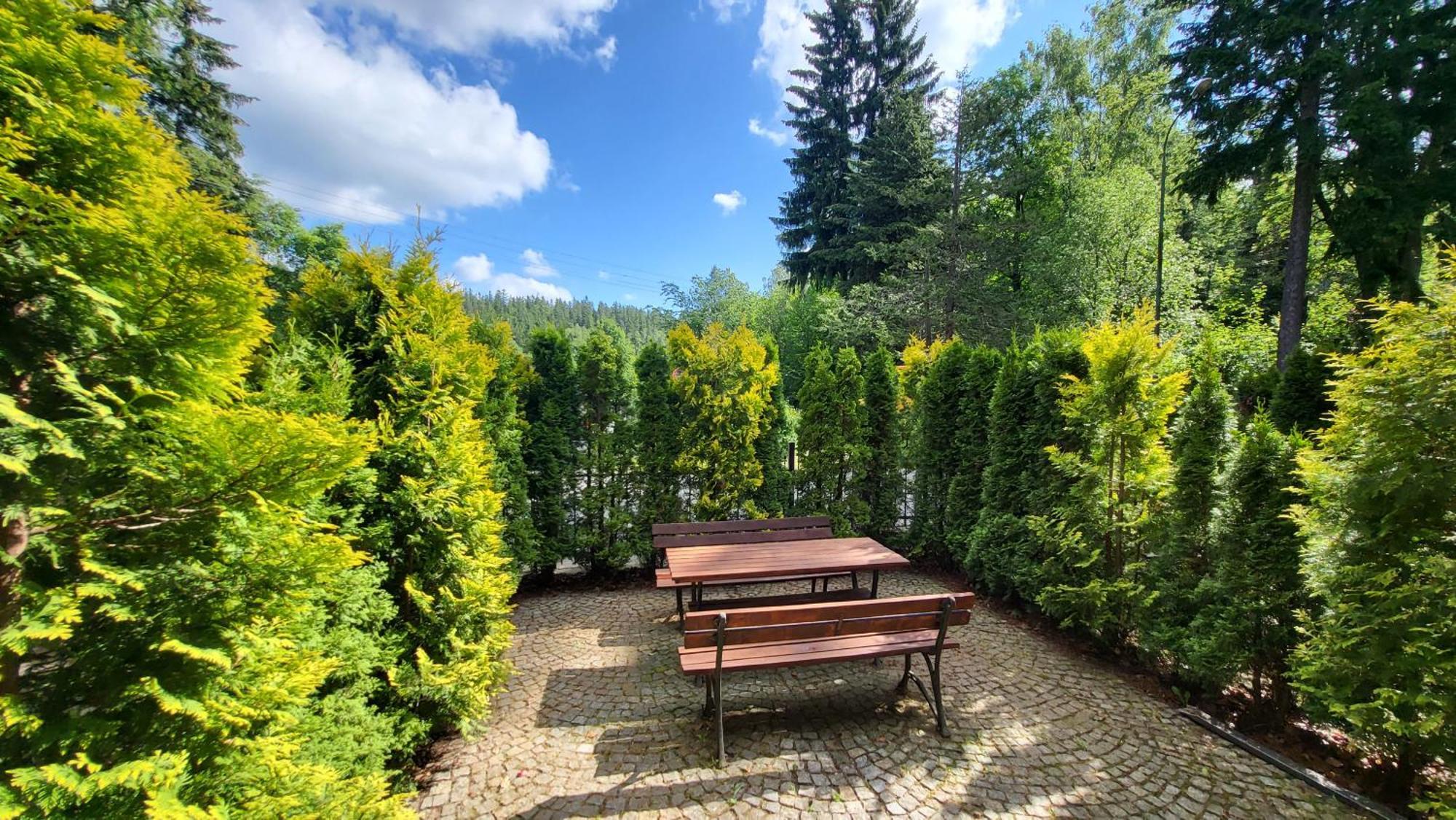 Apartament Jozefina 8 Dwupoziomowy Z Tarasem Szklarska Poręba Buitenkant foto